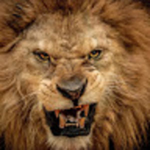 Meet your Posher, Gerard